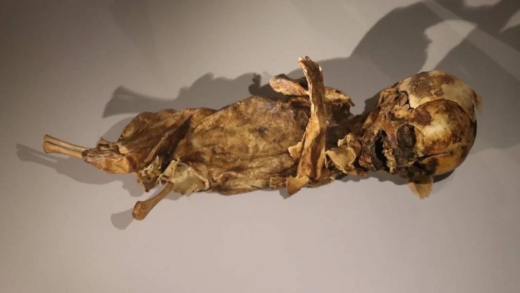 Görenler gözlerine inanamadı: İşte Aksaray'daki bin yıllık mumyalar 5
