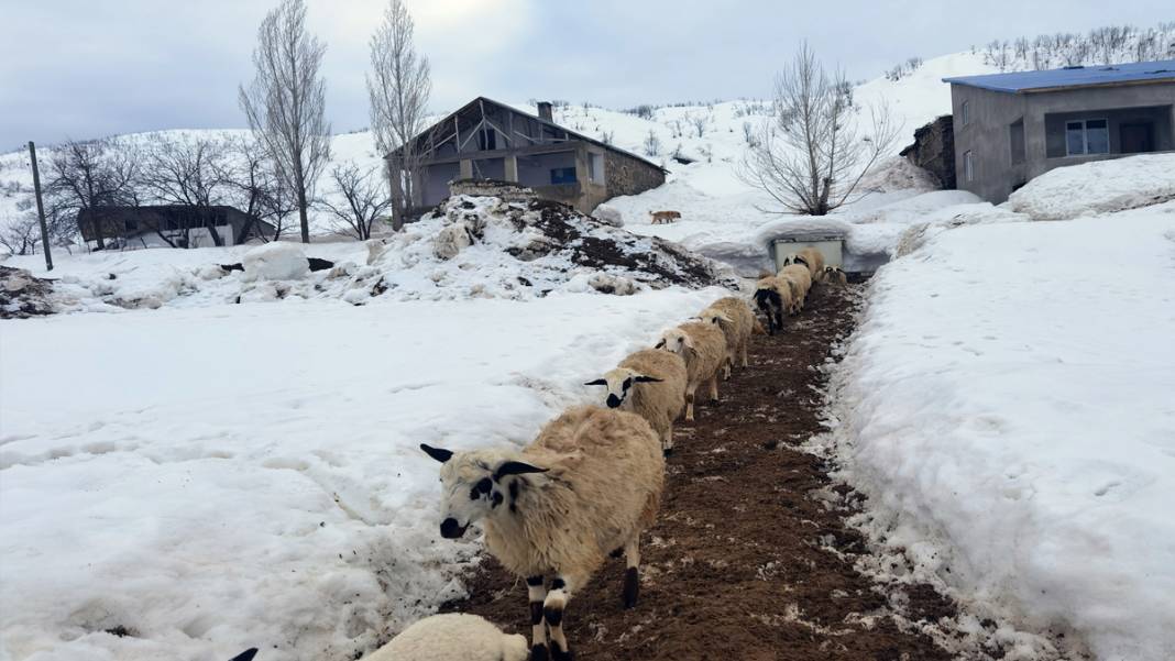 Tunceli'nin bir yanı yazı, bir yanı kışı yaşıyor 4