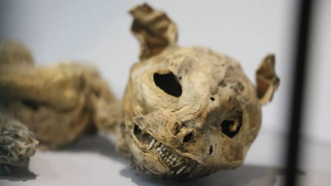 Görenler gözlerine inanamadı: İşte Aksaray'daki bin yıllık mumyalar 1