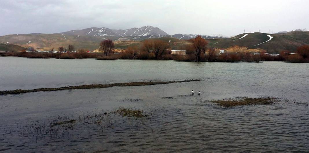 Dere taştı, ova göle döndü: Hakkari sular altında 8