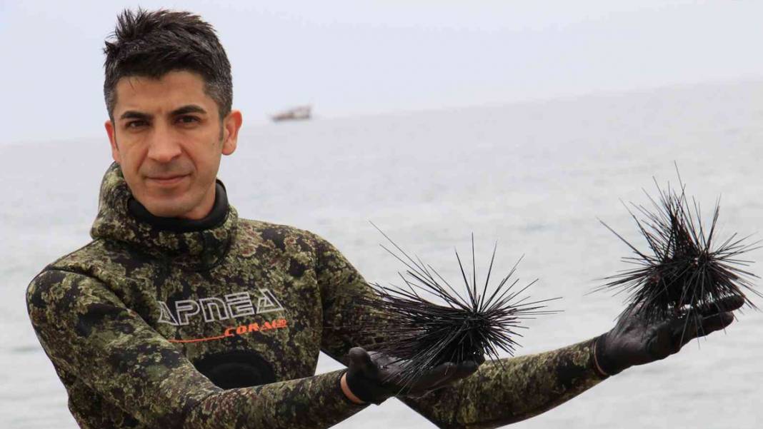 Uzman ekip ortaya çıkardı: Akdeniz'de korkutan istila! 3