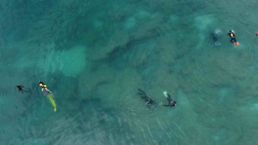 Uzman ekip ortaya çıkardı: Akdeniz'de korkutan istila! 7