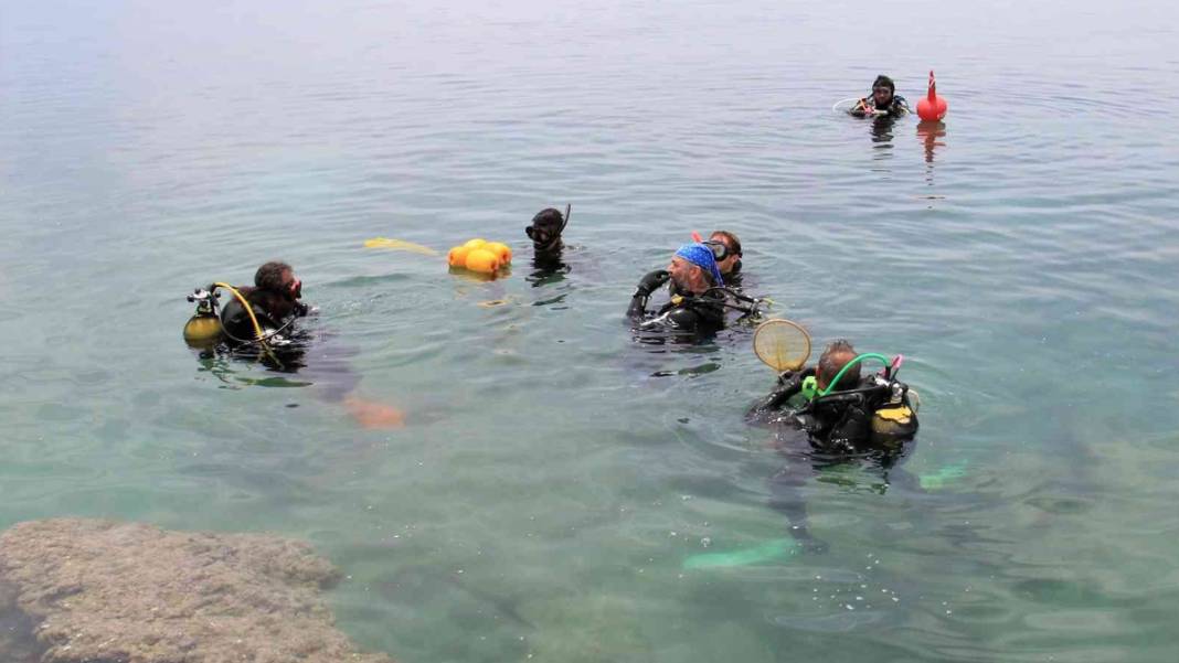 Uzman ekip ortaya çıkardı: Akdeniz'de korkutan istila! 4
