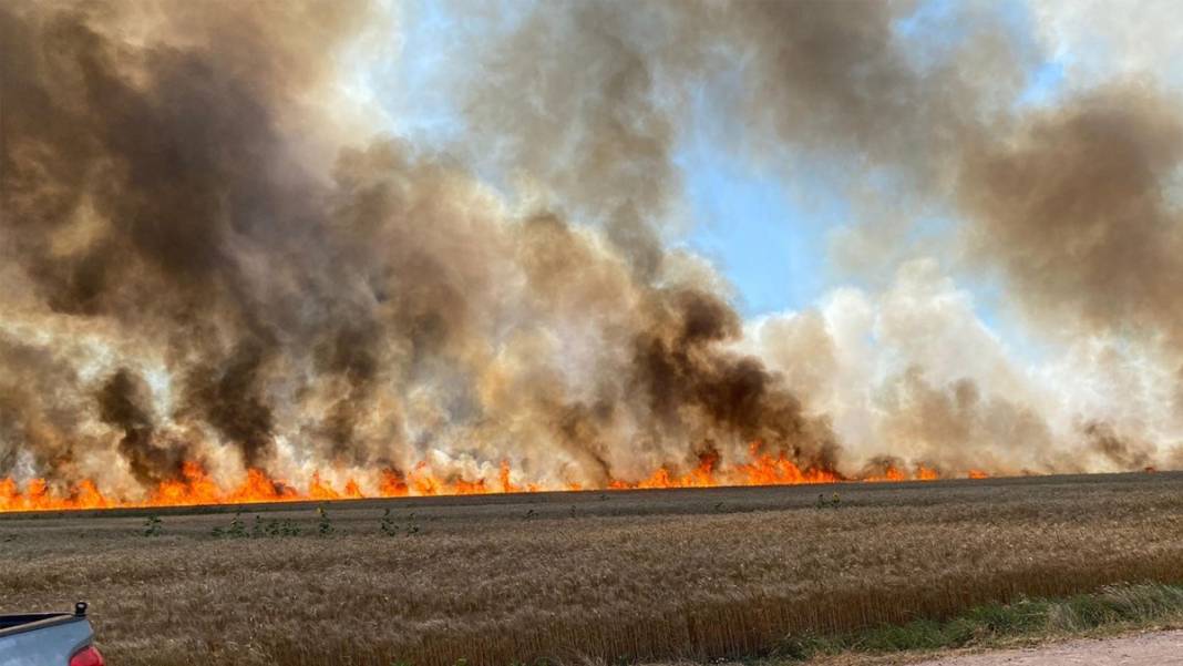 Ormanların ardından buğday tarlaları da alevlere teslim: Şimdi De Ekmeğimiz Yanıyor 1