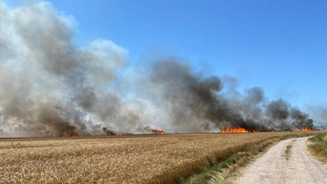 Ormanların ardından buğday tarlaları da alevlere teslim: Şimdi De Ekmeğimiz Yanıyor 2