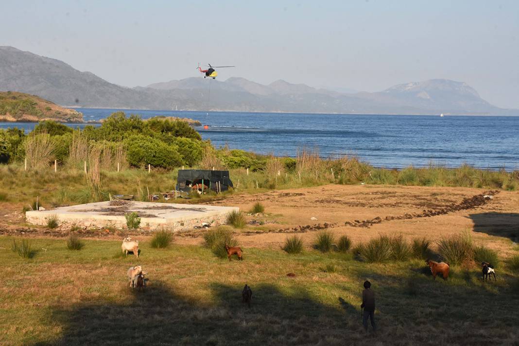 Marmaris'te yangın sürüyor! Uçaklarla müdahale başladı 34