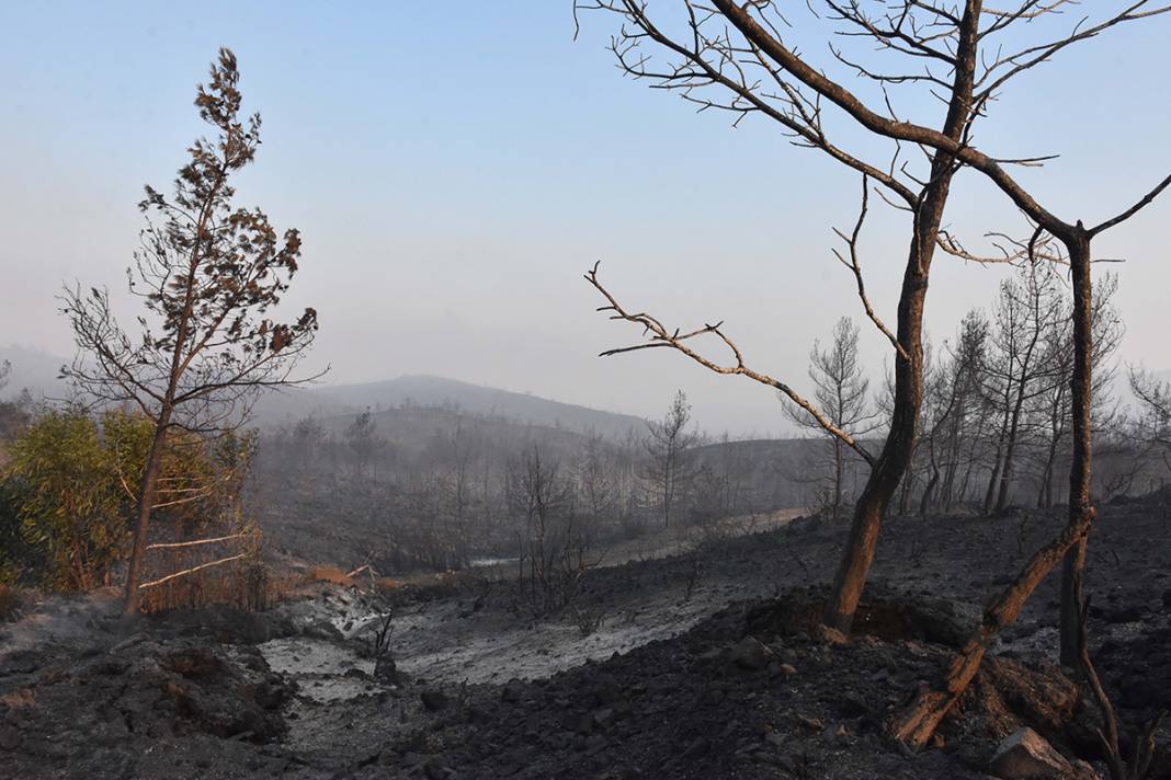 Marmaris'te yangın sürüyor! Uçaklarla müdahale başladı 30