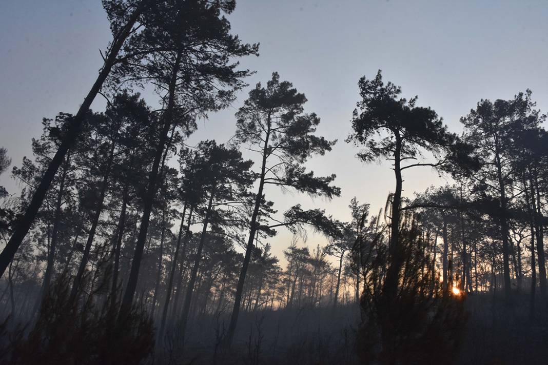 Marmaris'te yangın sürüyor! Uçaklarla müdahale başladı 23