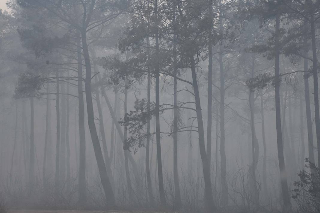 Marmaris'te yangın sürüyor! Uçaklarla müdahale başladı 21