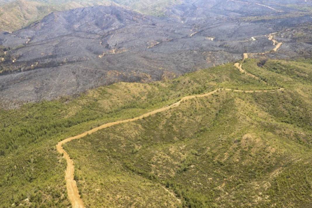Marmaris'te havadan çekilen fotoğraflar vahim tabloyu ortaya koydu: Yürek yakan görüntüler 3