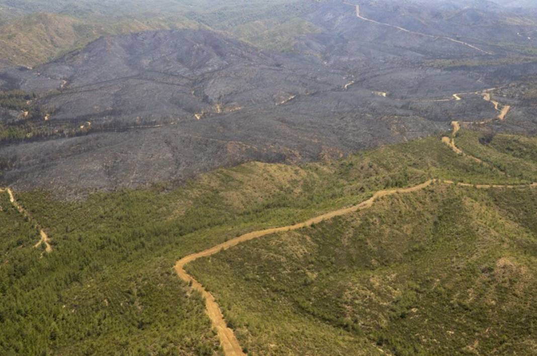 Marmaris'te havadan çekilen fotoğraflar vahim tabloyu ortaya koydu: Yürek yakan görüntüler 6