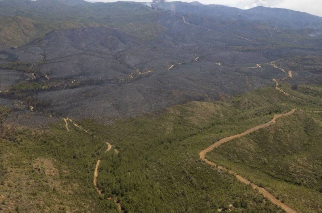 Marmaris'te havadan çekilen fotoğraflar vahim tabloyu ortaya koydu: Yürek yakan görüntüler 7