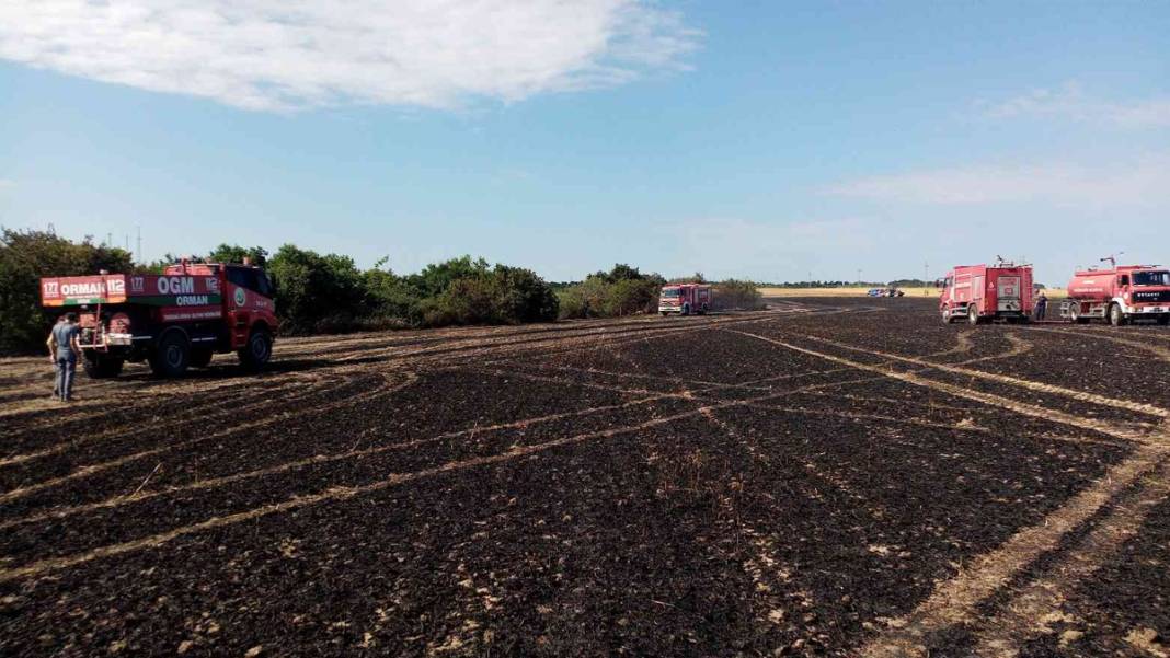 Ormanların ardından buğday tarlaları da alevlere teslim: Şimdi De Ekmeğimiz Yanıyor 6