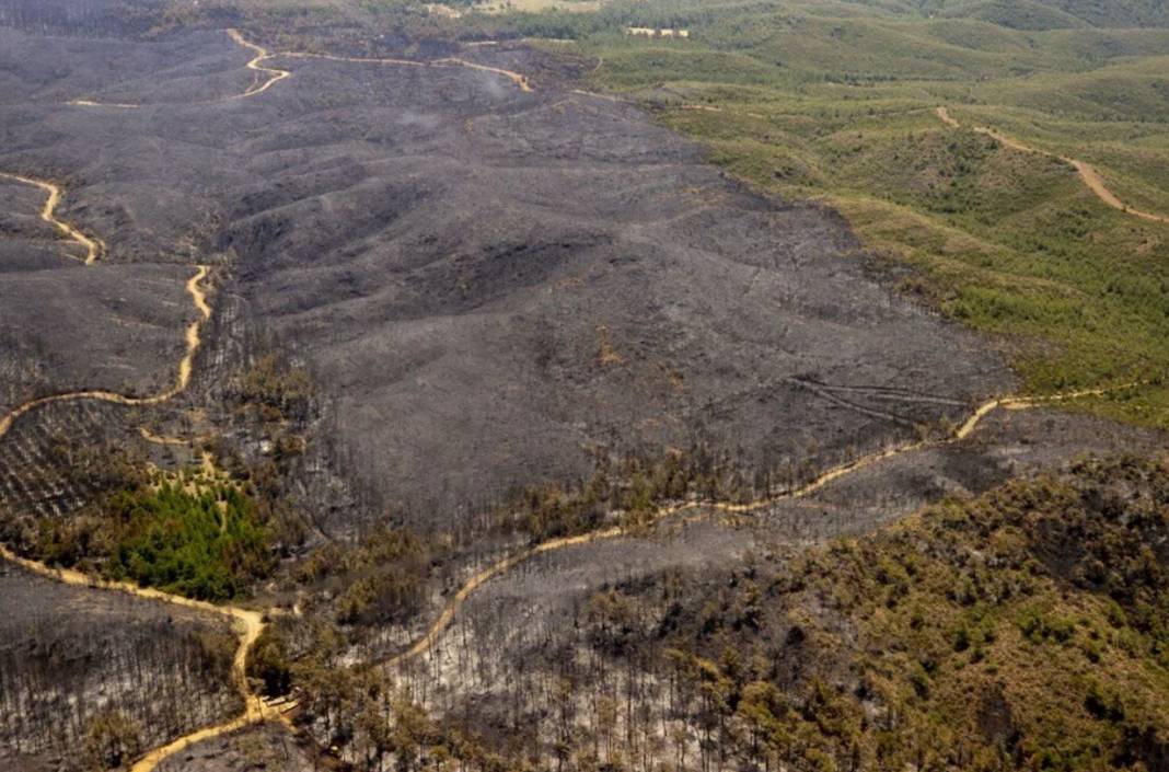 Marmaris'te havadan çekilen fotoğraflar vahim tabloyu ortaya koydu: Yürek yakan görüntüler 4