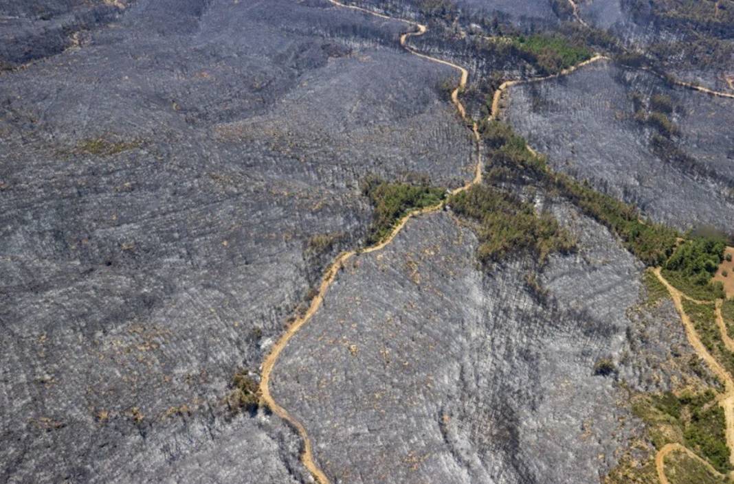 Marmaris'te havadan çekilen fotoğraflar vahim tabloyu ortaya koydu: Yürek yakan görüntüler 5