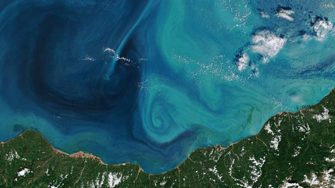 Değişim uydu fotoğraflarında: Suyu ısınan Karadeniz alarm veriyor 10