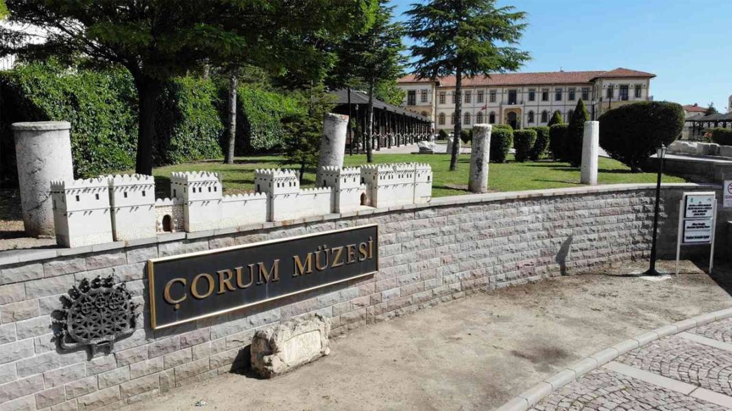 Paha biçilemiyor: Çorum'da heyecanlandıran keşif 5