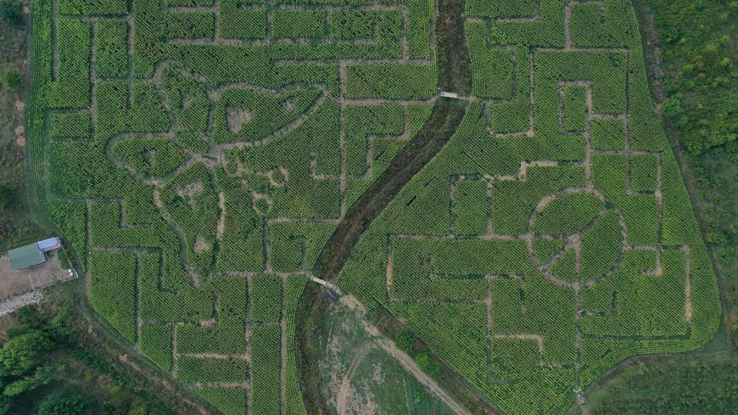 İşte Türkiye'nin İlk Mısır Labirenti! Buradan Çıkmak Hiç Kolay Değil 5
