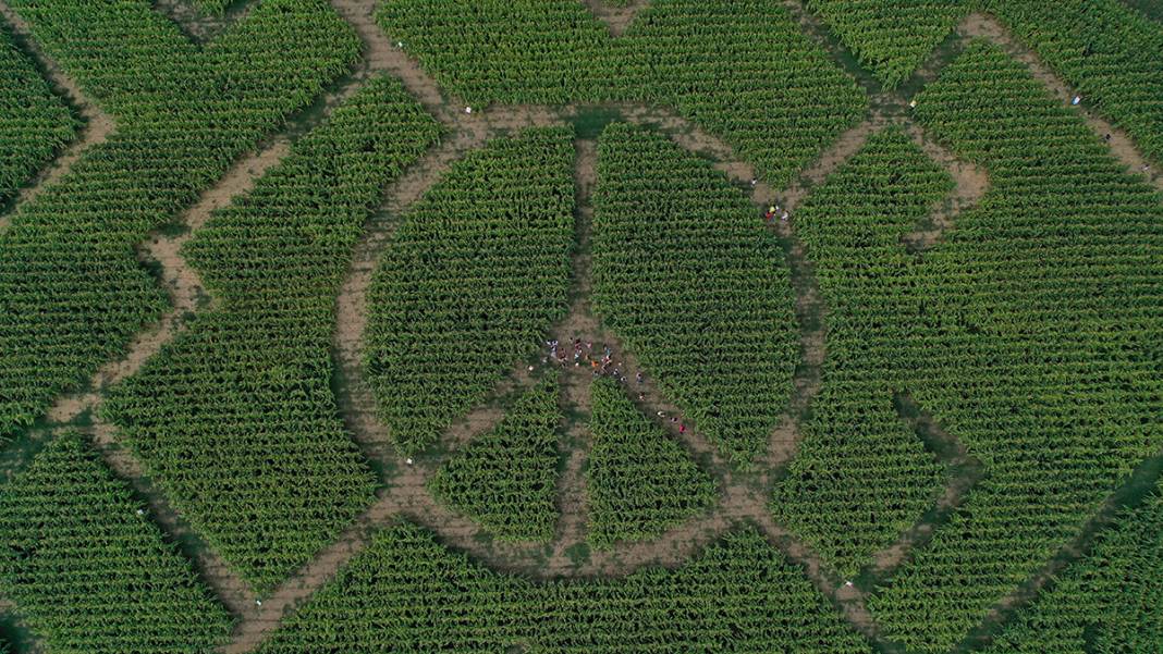 İşte Türkiye'nin İlk Mısır Labirenti! Buradan Çıkmak Hiç Kolay Değil 6