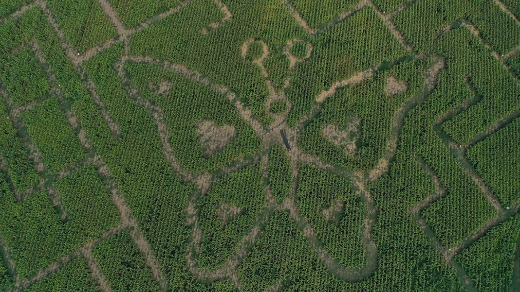 İşte Türkiye'nin İlk Mısır Labirenti! Buradan Çıkmak Hiç Kolay Değil 4