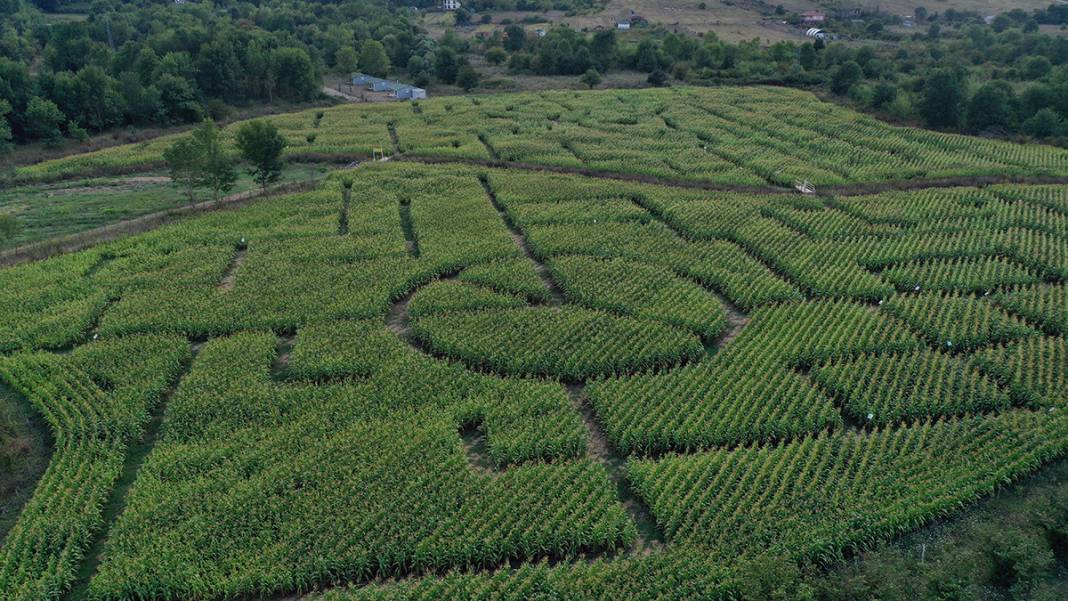 İşte Türkiye'nin İlk Mısır Labirenti! Buradan Çıkmak Hiç Kolay Değil 1