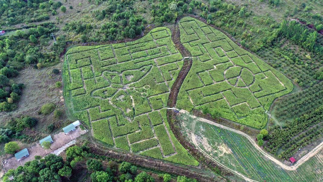 İşte Türkiye'nin İlk Mısır Labirenti! Buradan Çıkmak Hiç Kolay Değil 2