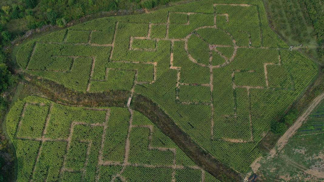 İşte Türkiye'nin İlk Mısır Labirenti! Buradan Çıkmak Hiç Kolay Değil 8