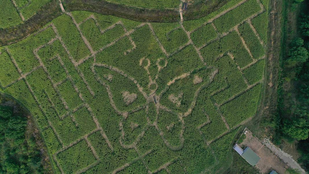 İşte Türkiye'nin İlk Mısır Labirenti! Buradan Çıkmak Hiç Kolay Değil 7