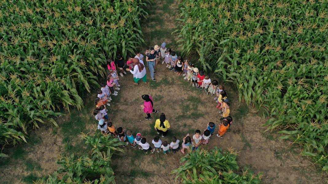 İşte Türkiye'nin İlk Mısır Labirenti! Buradan Çıkmak Hiç Kolay Değil 3