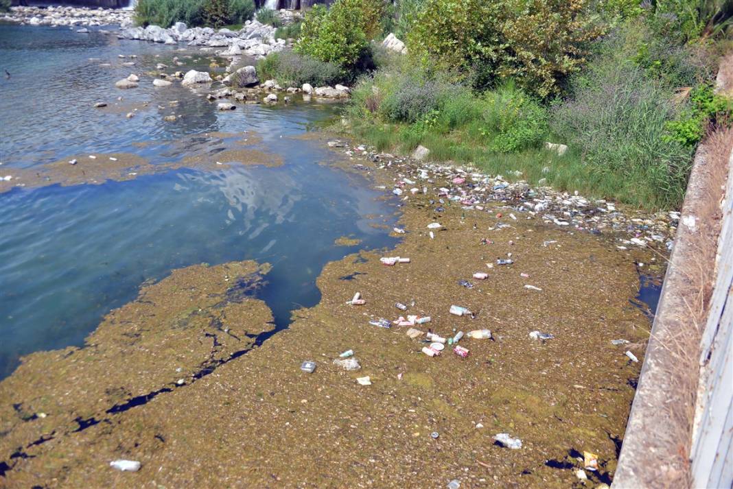 Utandıran kirlilik! Seyhan Nehri'nin hali içler acısı 12