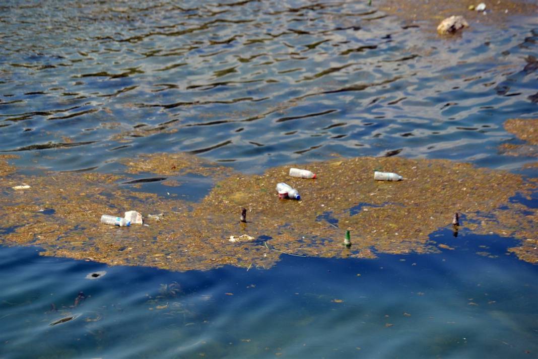Utandıran kirlilik! Seyhan Nehri'nin hali içler acısı 10