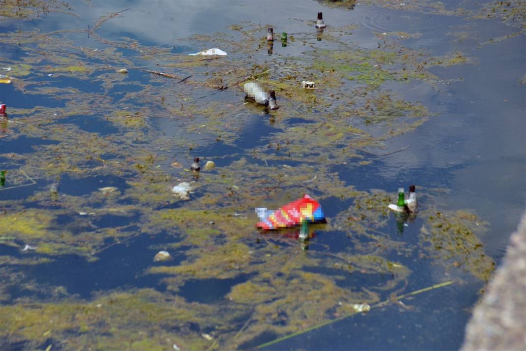 Utandıran kirlilik! Seyhan Nehri'nin hali içler acısı 6