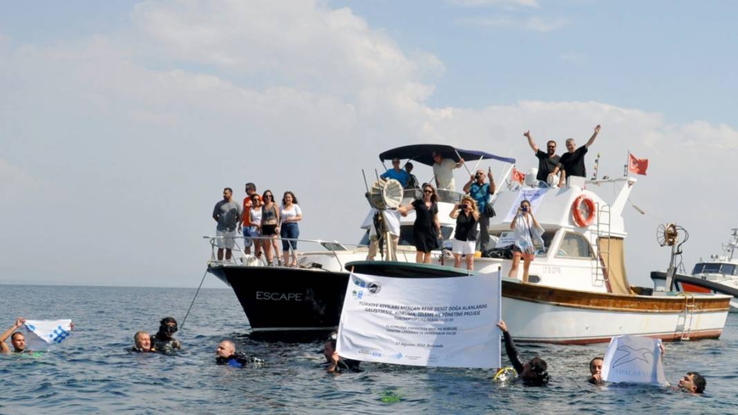 Marmara'nın bilinmeyen güzelliği tehlike altında 6