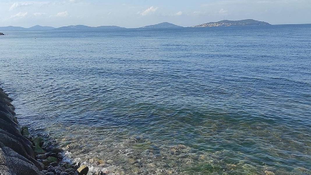 Marmara'nın bilinmeyen güzelliği tehlike altında 8