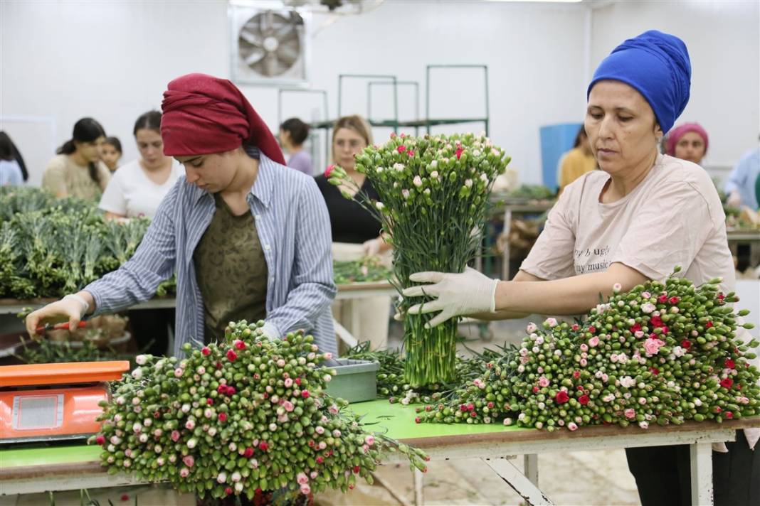 Kraliçe 2. Elizabeth'in cenazesi için Antalya ve Isparta'da yoğun mesai 13