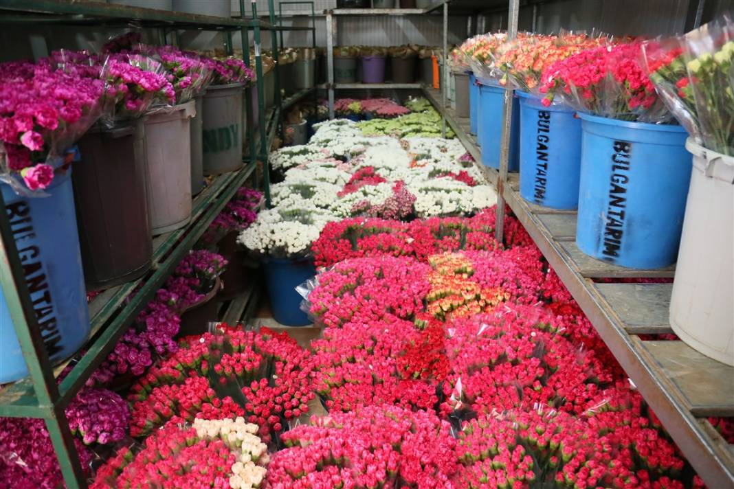 Kraliçe 2. Elizabeth'in cenazesi için Antalya ve Isparta'da yoğun mesai 4