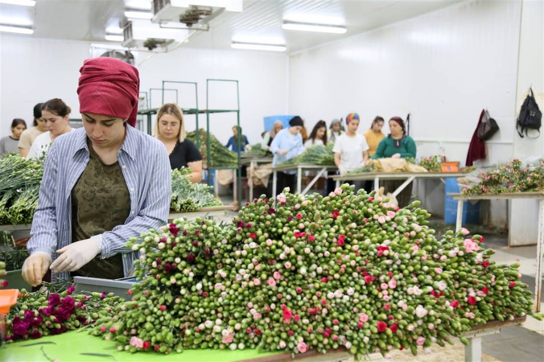 Kraliçe 2. Elizabeth'in cenazesi için Antalya ve Isparta'da yoğun mesai 11