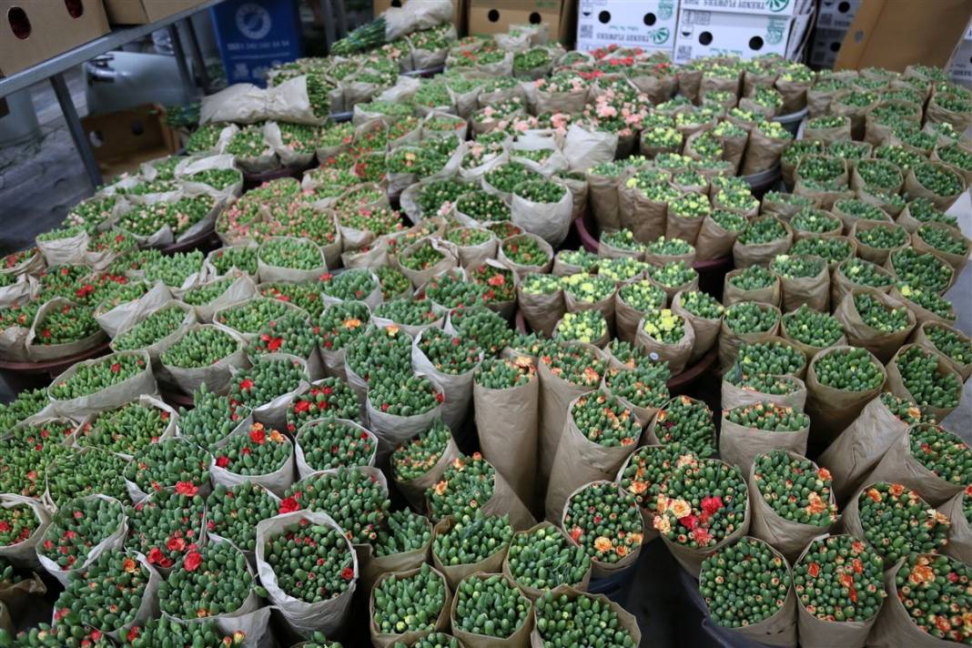 Kraliçe 2. Elizabeth'in cenazesi için Antalya ve Isparta'da yoğun mesai 10