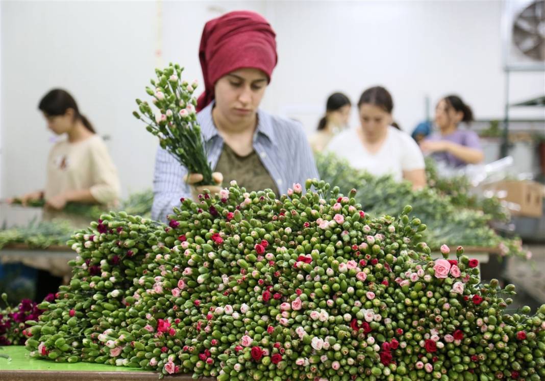 Kraliçe 2. Elizabeth'in cenazesi için Antalya ve Isparta'da yoğun mesai 7
