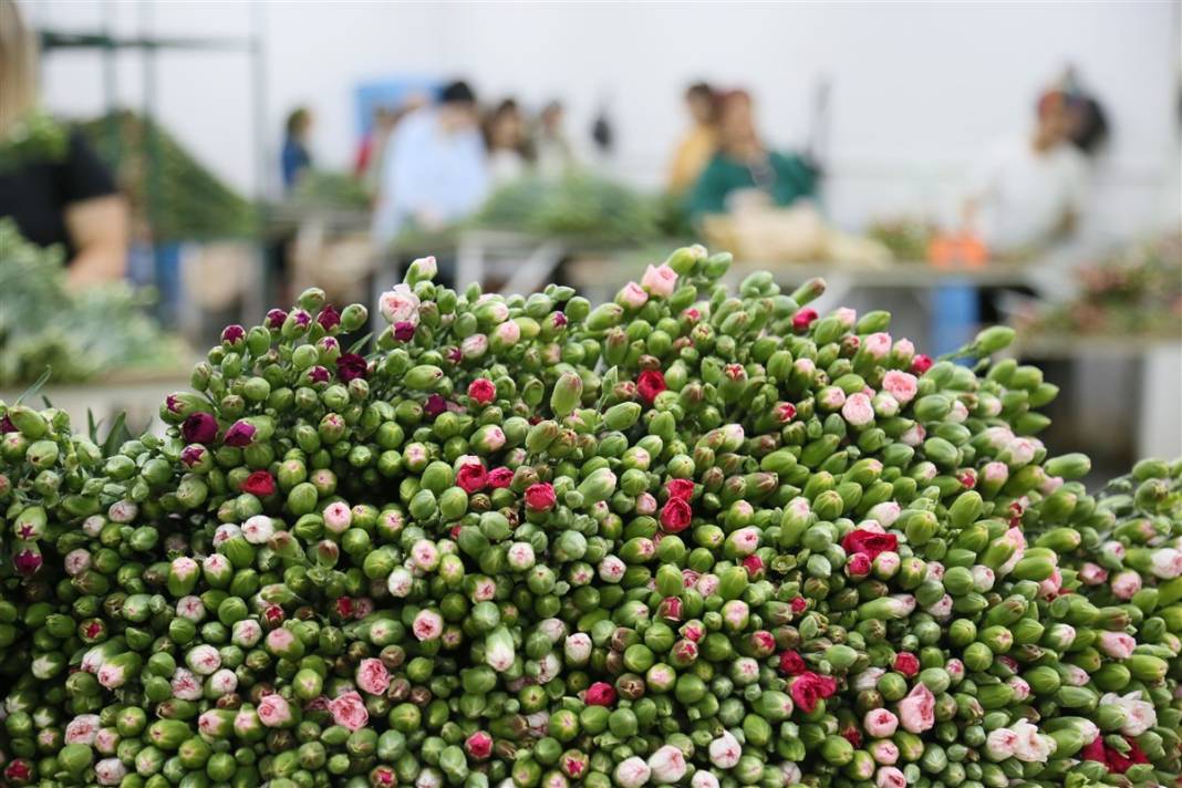 Kraliçe 2. Elizabeth'in cenazesi için Antalya ve Isparta'da yoğun mesai 6