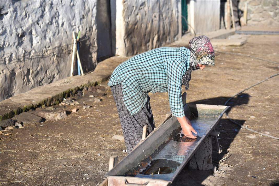 O ilimiz donuyor! Örümcek ağları bile buz tuttu 6