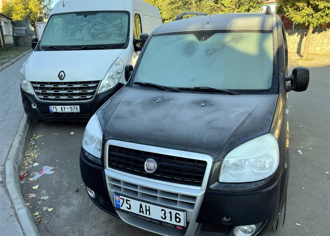 O ilimiz donuyor! Örümcek ağları bile buz tuttu 5