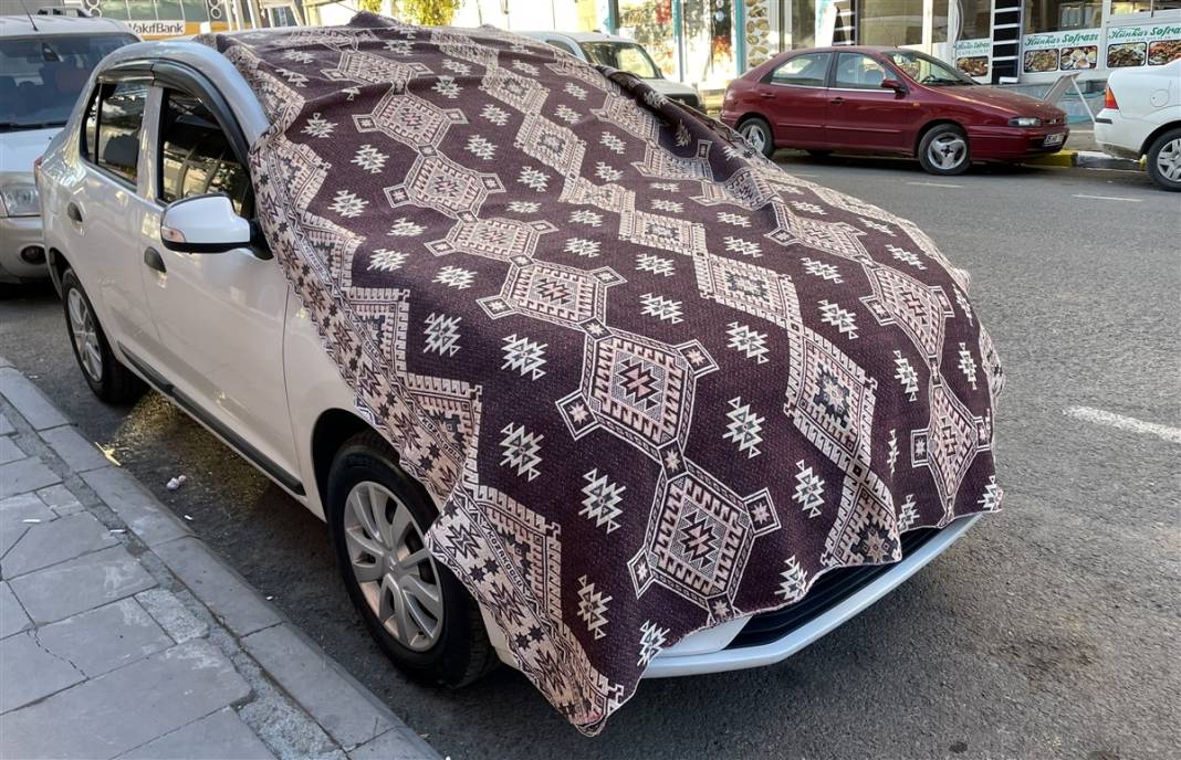 O ilimiz donuyor! Örümcek ağları bile buz tuttu 4