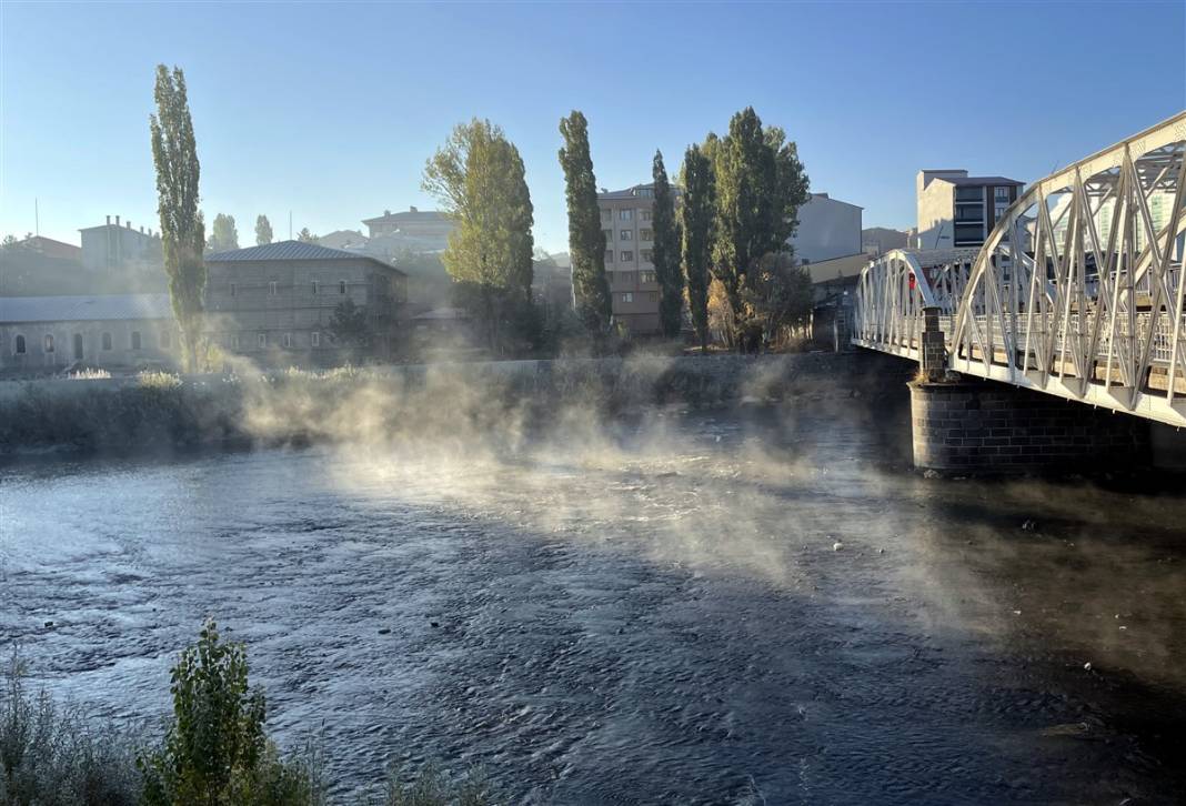 O ilimiz donuyor! Örümcek ağları bile buz tuttu 2