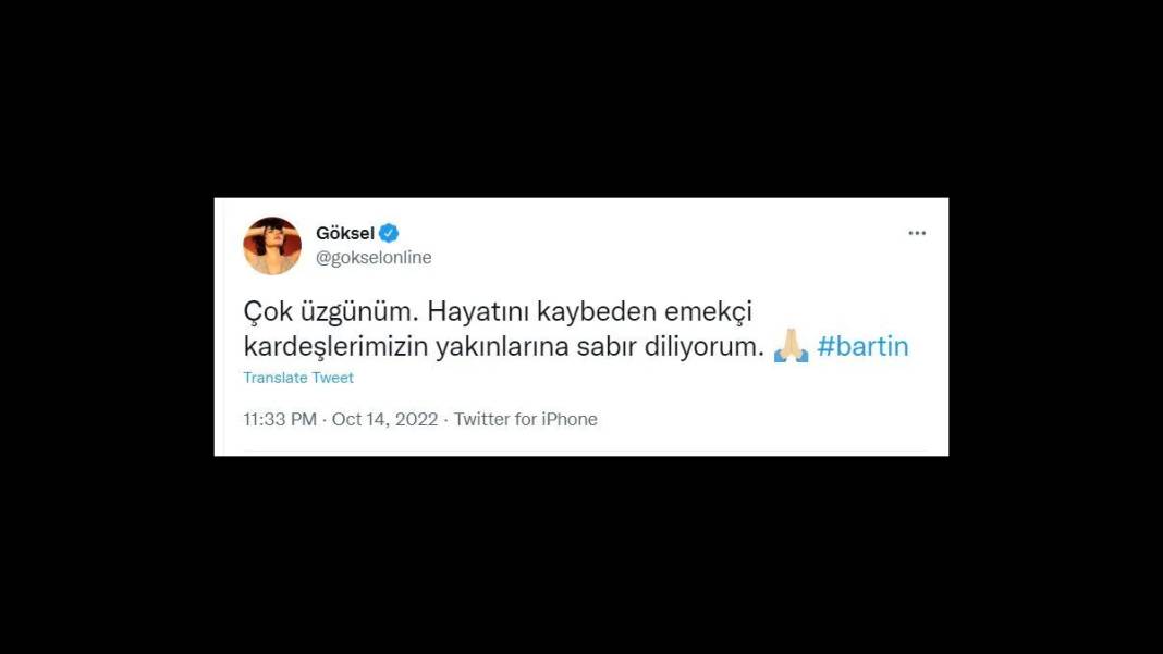 Sanatçılardan Bartın paylaşımı: Yine yürekler karardı 9