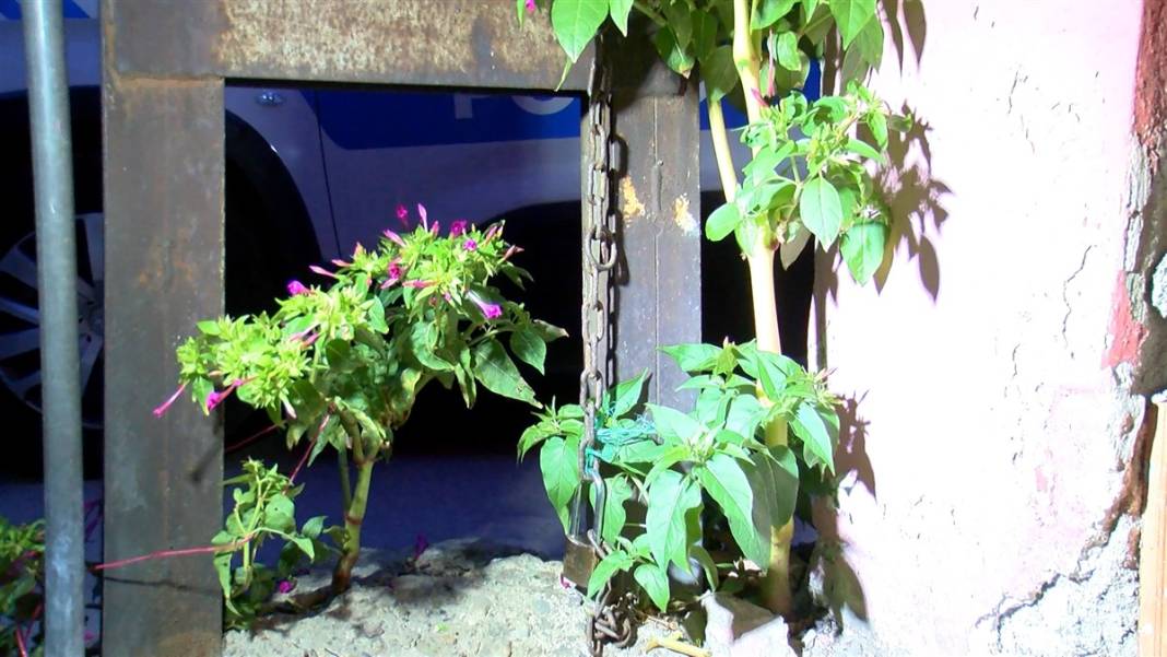 Tekme tokat dövüp zincirle direğe bağladılar 2