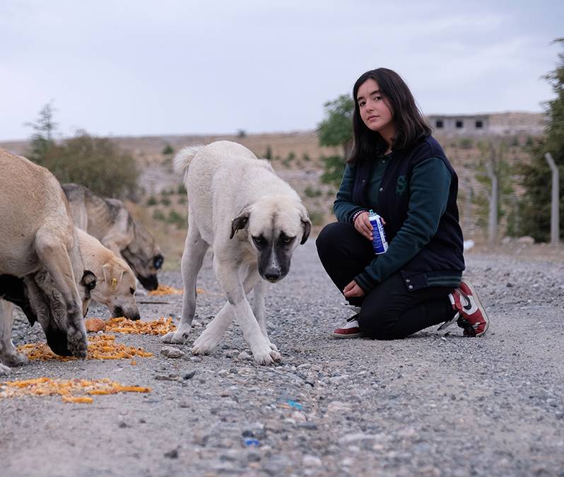 Sokak hayvanlarına 'Hayat' oluyor: 'Bir kap mama, bir kap su koymak zor değil' 1