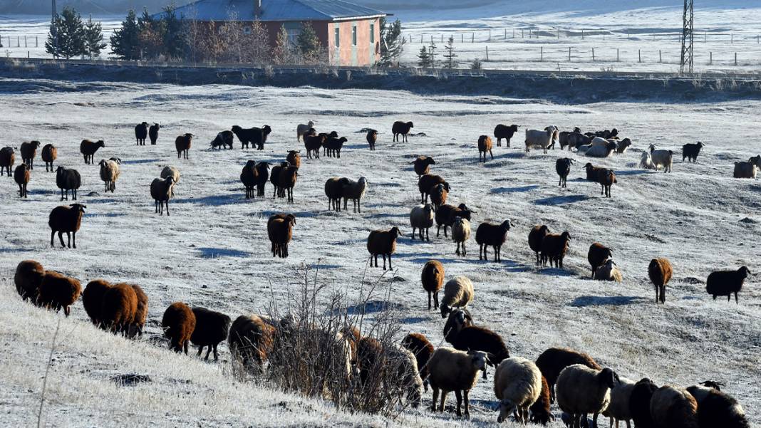 Türkiye'nin 'Sibirya'sı olarak biliniyor: Hava eksi 7'yi gördü, camları buz tuttu 6