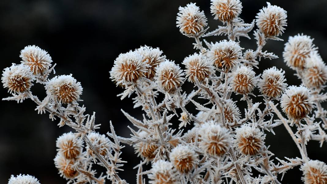 Türkiye'nin 'Sibirya'sı olarak biliniyor: Hava eksi 7'yi gördü, camları buz tuttu 4