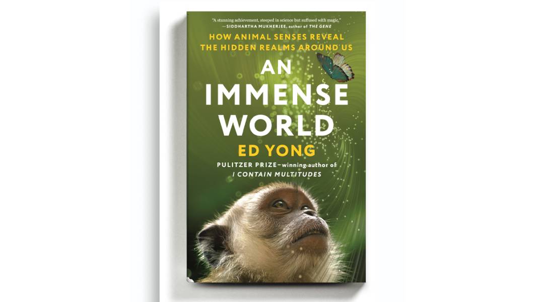 New York Times seçti: İşte 2022'nin en iyi 10 kitabı 6